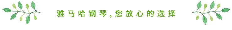 这才是真相：绿色关爱，优胜客的环境政策