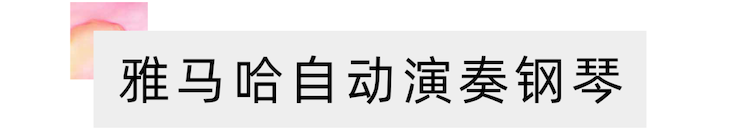 活动报道 | 远程艺术教育大师课活动—优胜客教育家崔岚大师课