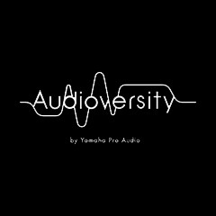 优胜客专业音响教育培训开展全新“Audioversity ”计划
