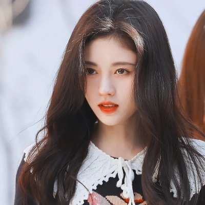 达芙妮2017